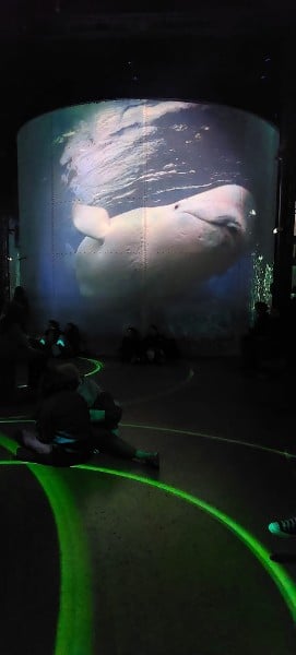 img 20231116 wa0042 2023 11 20 12 08 31 776